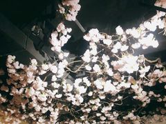 -星河湾温泉洗浴酒店