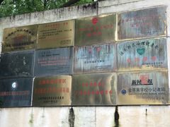 -上海市民办金苹果学校