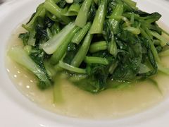 有机蔬菜-乾隆美食·本帮菜(黄河路店)