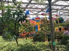 -南宫五洲植物乐园