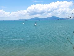 -七鲜渔港美食餐厅(巽寮湾海景店)