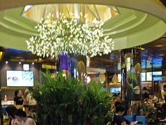 -润园四季椰子鸡火锅(海上世界店)