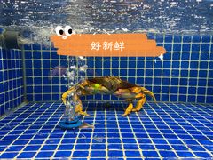 -潮三爷砂锅焗海鲜·生腌·海鲜粥(朝晖店)