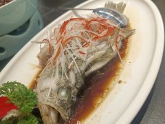 -杏花村水席楼·洛阳水席(老城十字街店)