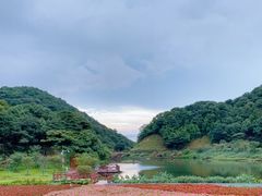 -广州市石门国家森林公园