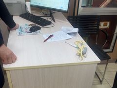 -米苏动物医院·犬猫专科·骨科外科内窥镜