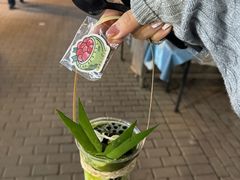 -婉泰·特色小吃·舂鸡脚(告庄二店)