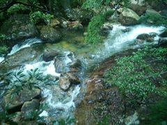 -祁门牯牛降观音堂风景区