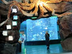 -多彩贵州城极地海洋世界