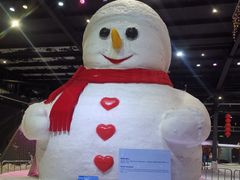 -宁波冰雪大世界(北仑区)