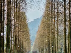 -青城山