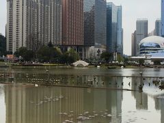 -花果园湿地公园
