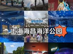 -上海海昌海洋公园