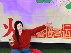 -鸿姐老火锅·传统炒料(上海旗舰店)