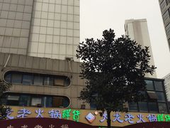 -大龙老火锅·总店(龙头寺店)