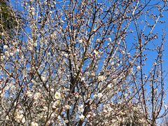 -蜀冈西峰生态公园