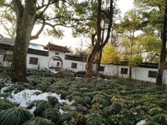-西湖风景区十里琅珰-五云山