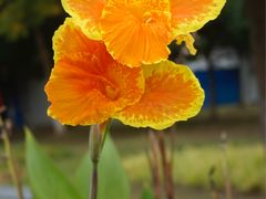 -白塘生态植物园