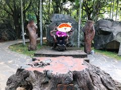 -海口火山口国家地质公园