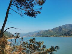 -羚羊峡古栈道森林公园