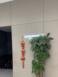 -崇尚GAVIN STYLE臻选