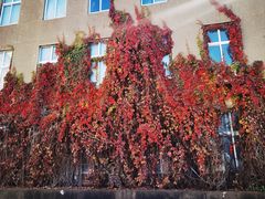 -辽宁大学(崇山校区)