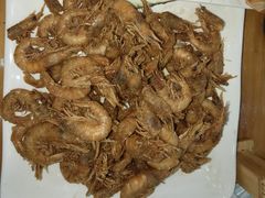 -渔家小院观海海肠捞饭地方菜(环海中路店)