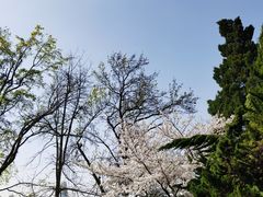-东湖听涛景区