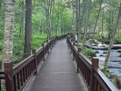 -汤旺河林海奇石景区