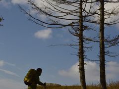 -蔚县茶山村