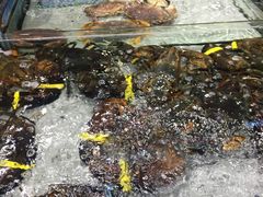 避风塘面包蟹-渔傅·蓝海岸霞浦海鲜(正祥店)