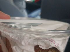 -酷以爬仙阁实体爬宠店·守宫·蜥蜴·专业繁育