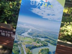 -大湾区中央湿地公园