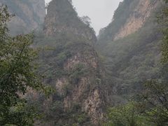 -金凤成祥(西罗园店)