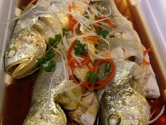 -盒马鲜生(枣园路店)