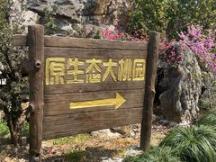 -南汇桃花村