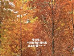 -金砂公园