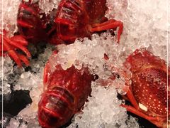 旺小胖招牌冰镇龙虾-旺小胖小龙虾