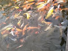 -珠海圆明新园