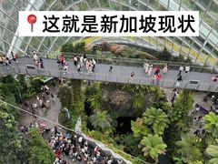 -圣淘沙天际线斜坡滑车