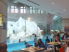 -帝企鹅自助餐厅•儿童岛•真企鹅(长隆企鹅酒店)