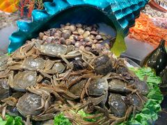 -苏格里岛自助海鲜烤肉(青秀万达店)