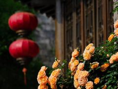 -老门东历史文化街区