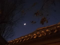 -锅儿挑面馆
