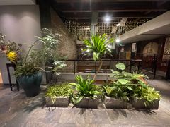 -青藤茶馆(南山路店)