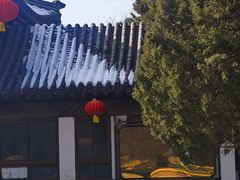 -团结湖公园
