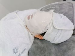 -紫御国际抗衰ZOE ANTI AGING