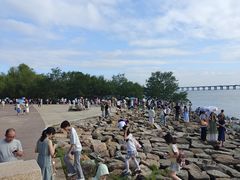 -宝安西湾红树林湿地公园