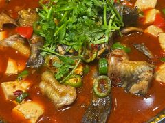昂刺鱼焖豆腐-欧记轩龙虾·私房菜(A店)