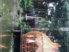 -二荆条·蜀鲜汇城市森林火锅